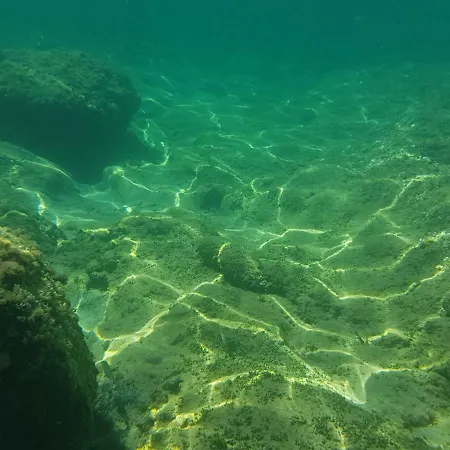 Veryhouse * كاستيلساردو